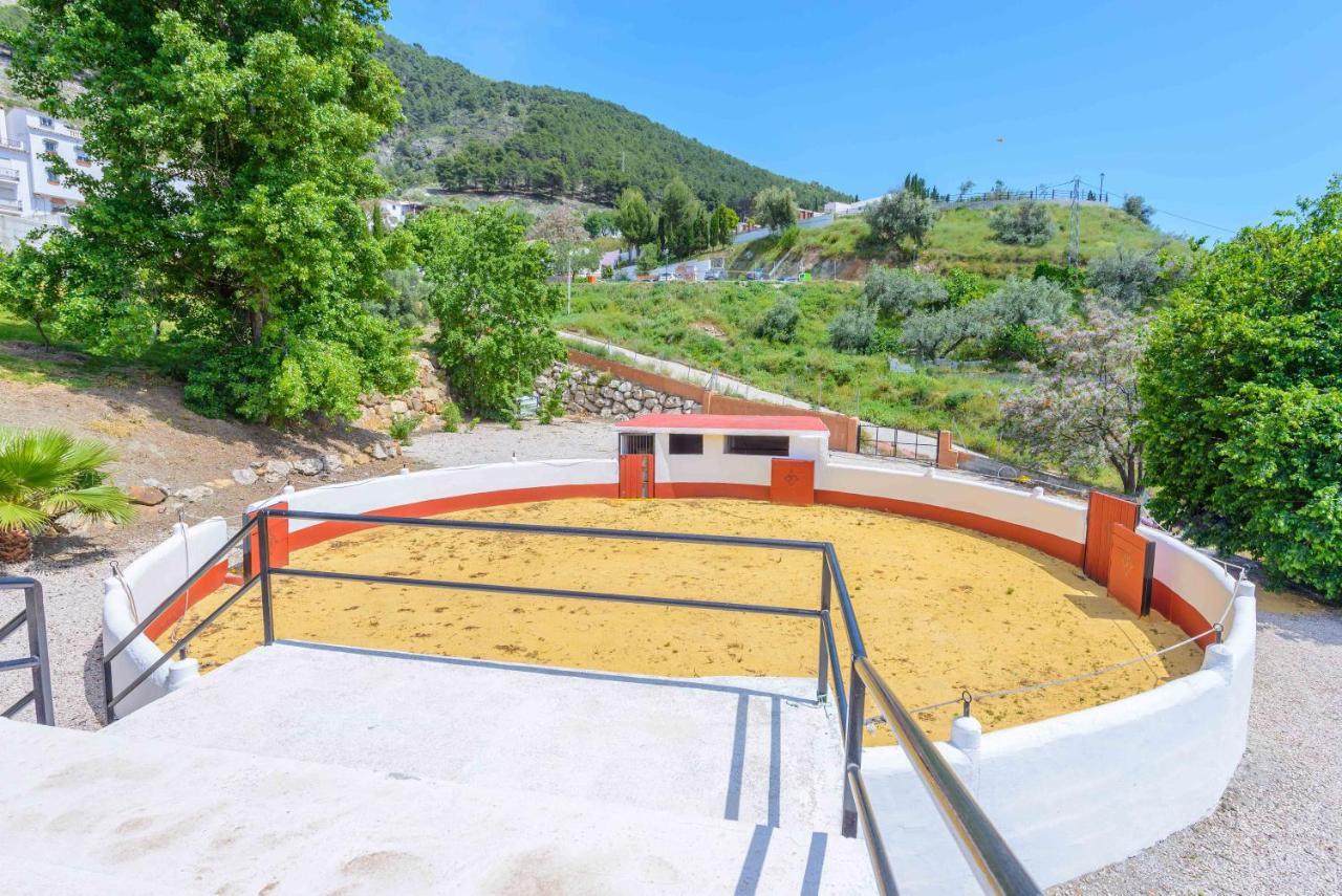 Casa Flores Con Piscina Interior Climatizada Alcaucín Dış mekan fotoğraf